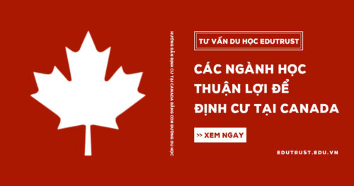 Các ngành học thuận lợi xin việc làm để định cư tại Canada