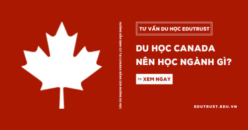 Du học Canada Nên Học Ngành Gì Để Dễ Định Cư?