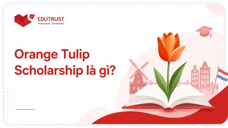 Orange Tulip Scholarship là gì?