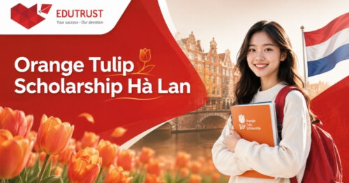 Danh sách các trường tại Hà Lan có học bổng Orange Tulip Scholarship