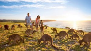 Đi du học Úc 2018