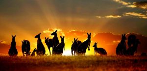 Tìm hiểu về du học Úc