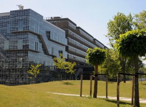 Top 8 trường đại học danh tiếng nhất Hà Lan