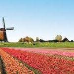 Trung tâm tư vấn du học Hà Lan uy tín, chất lượng EduTrust