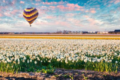 Du học Hà Lan nhóm ngành kinh tế