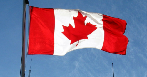Vì sao lá phong trở thành biểu tượng của Canada?