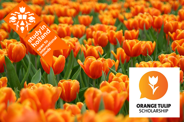 Orange Tulip Scholarship