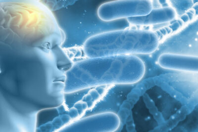 Du Học Hà Lan: Khoa học Y Sinh Là Ngành Gì? Sinh Viên Ra Trường Làm Gì?