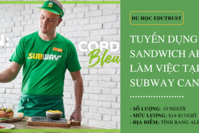 [Tuyển Dụng Gấp] 10 Vị Trí Sandwich Artist Làm Việc Tại SubWay Restaurant, Canada