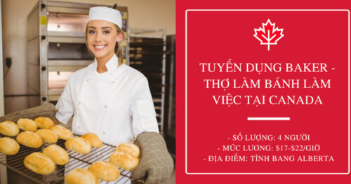 [Tuyển Dụng] Baker – Thợ Làm Bánh Làm Việc Full Time Tại Canada