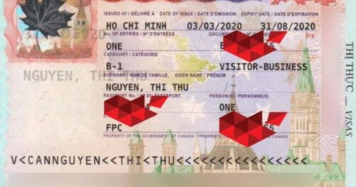 Visa Công Tác Canada Về Đầu Tháng 3