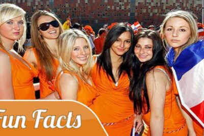 10 Thông Tin Thú Vị Về Đất Nước Hà Lan Mà Bạn Cần Phải Biết