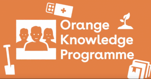 Du Học Hà Lan: Học Bổng Thạc Sĩ Ngắn Hạn Orange Knowledge Program (OKP) Tại Tilburg University