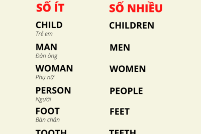 Những Danh Từ Số Nhiều Dạng Đặc Biệt Trong Tiếng Anh