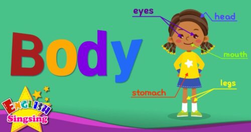 Body Parts – Học Tiếng Anh Qua Các Bộ Phận Trên Cơ Thể Người