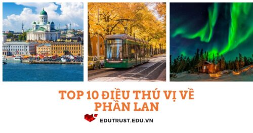 Du Học Phần Lan:  Top 10 Điều Thú Vị Bạn Cần Biết