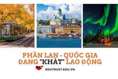 Du Học Phần Lan: Phần Lan – Quốc Gia Đang Thèm Khát Lao Động