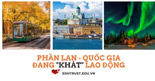 Du Học Phần Lan: Phần Lan – Quốc Gia Đang Thèm Khát Lao Động