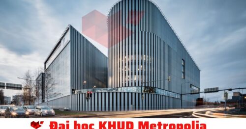 Du Học Phần Lan: Metropolia – Đại Học Ứng Dụng Lớn Nhất Phần Lan