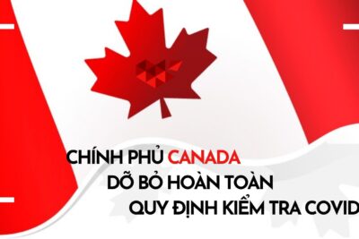 Du Học Canada: Chính Phủ Canada Dỡ Bỏ Hoàn Toàn Quy Định Kiểm Tra Covid