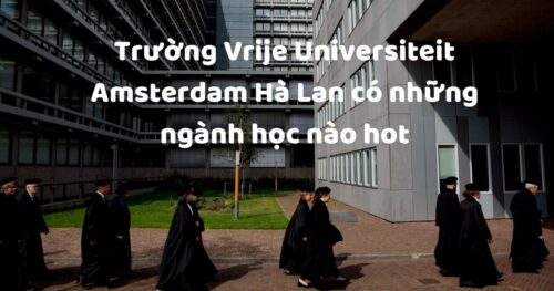 Trường Vrije Universiteit Amsterdam Hà Lan có những ngành học nào hot