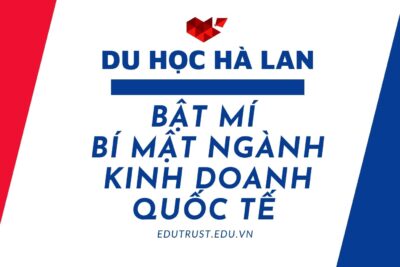 Du Học Hà Lan: Bật Mí Bí Mật Ngành Kinh Doanh Quốc Tế Tại Hà Lan