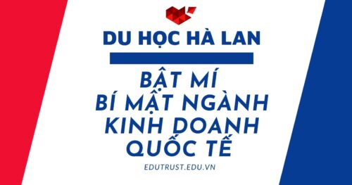 Du Học Hà Lan: Bật Mí Bí Mật Ngành Kinh Doanh Quốc Tế Tại Hà Lan