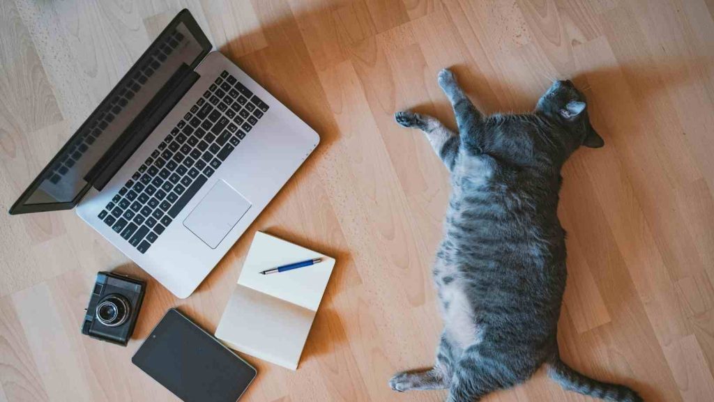 Vượt qua lười biếng – lập kế hoạch học tập