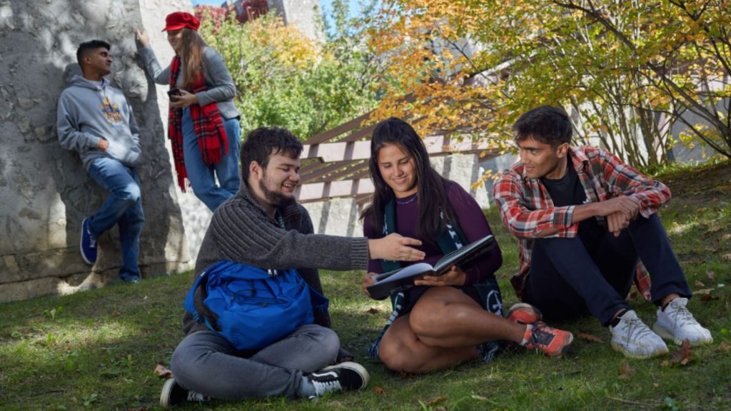 Có 5 trường thành viên của Trent University hệ cao đẳng