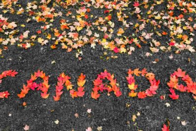 DU HỌC CANADA: 3 LOẠI HÌNH CHỖ Ở PHỔ BIẾN DÀNH CHO SINH VIÊN QUỐC TẾ