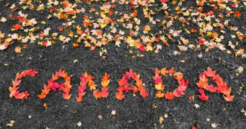 DU HỌC CANADA: 3 LOẠI HÌNH CHỖ Ở PHỔ BIẾN DÀNH CHO SINH VIÊN QUỐC TẾ