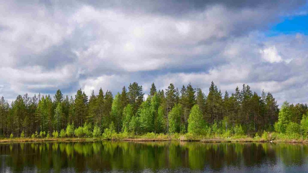 Du học Phần Lan có nhiều điều kiện thuận lợi cho việc học