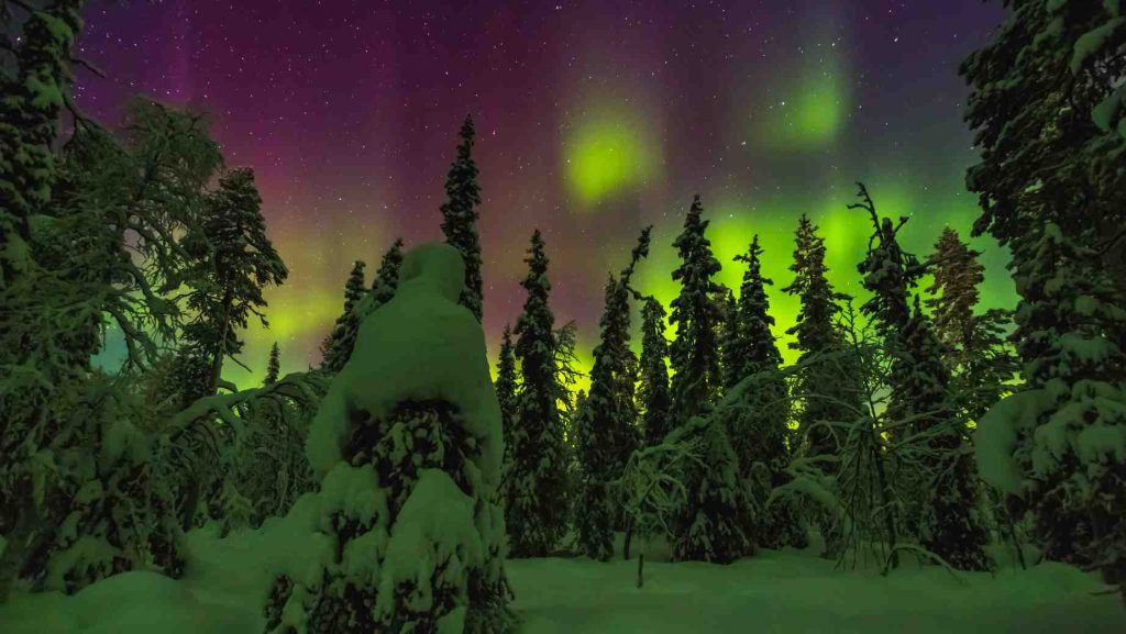 Cuộc sống du học Phần Lan tràn đầy màu sắc nếu bạn có thật nhiều trải nghiệm