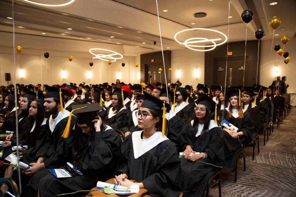 Khóa học tại Alexander College được đầu tư kỹ lưỡng