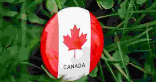 Du Học Canada: Mức Chi Phí Sinh Hoạt Trung Bình Của Du Học Sinh