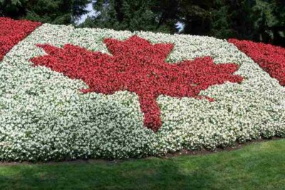 ĐỊNH CƯ CANADA DIỆN TAY NGHỀ