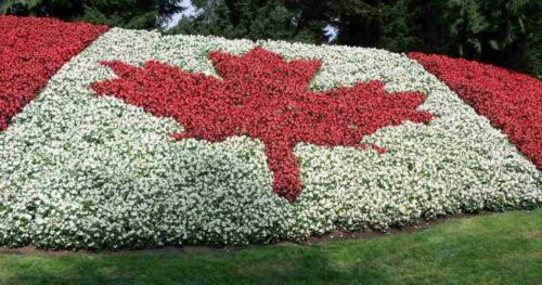 ĐỊNH CƯ CANADA DIỆN TAY NGHỀ