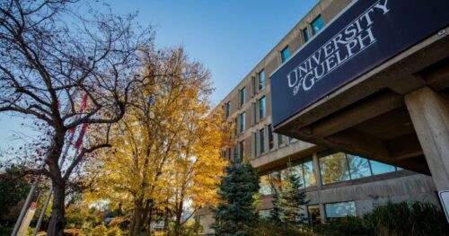 Du học Canada: University Of Guelph thuộc tỉnh bang Ontario
