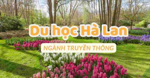 Du học Hà Lan: Tìm hiểu về ngành học truyền thông