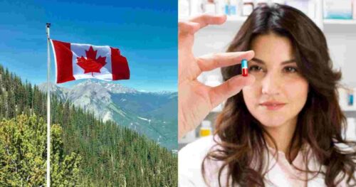 Du học Canada: Những cơ hội nào dành cho du học sinh ngành dược