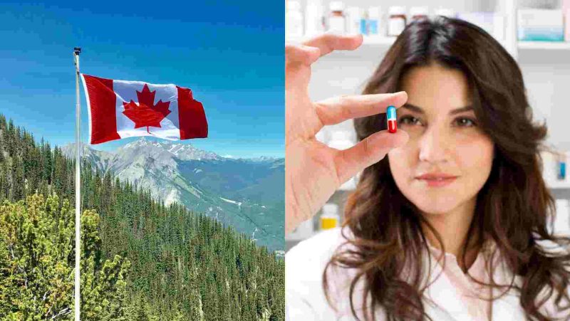 Du học Canada: Những cơ hội nào dành cho du học sinh ngành dược