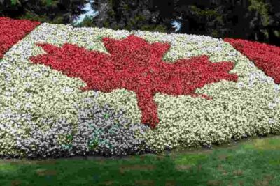 Du học Canada: Những thông tin cơ bản về du học nghề