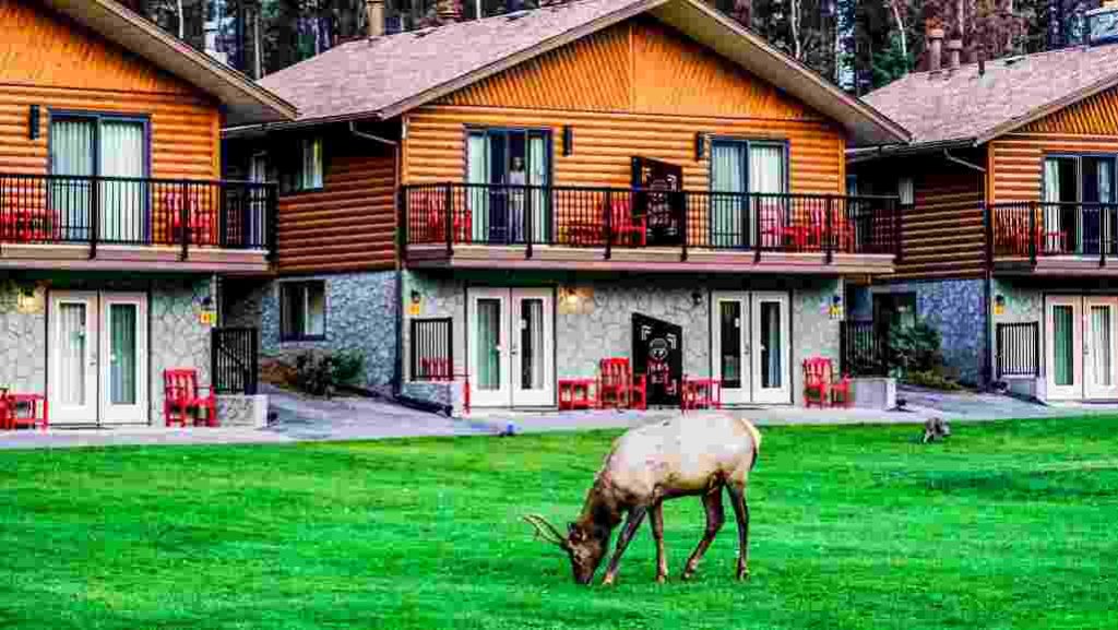 Du học Canada du học nghề được nhiều bạn sinh viên quan tâm