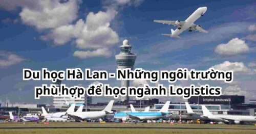 Những ngôi trường phù hợp để học ngành Logistics khi du học tại Hà Lan