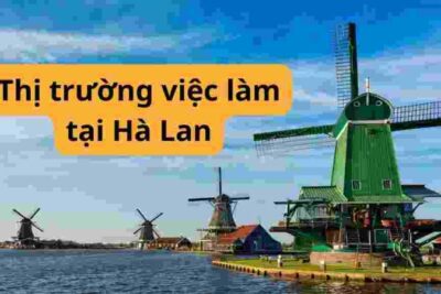 Du học Hà Lan: Thông tin thị trường việc làm mà du học sinh cần biết