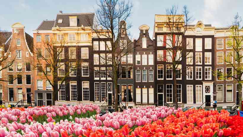 Du học Hà Lan có nhiều bậc học để chọn