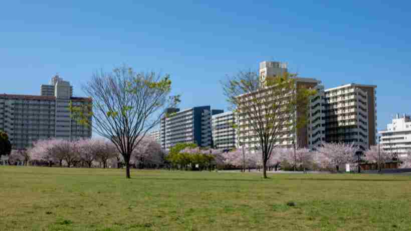 Du học EduTrust thông tin tới du học sinh