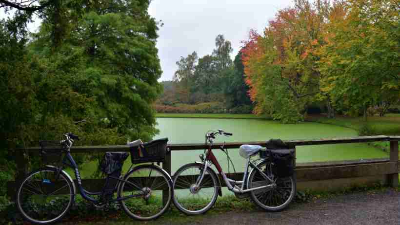Du học Hà Lan bạn hãy thử trải nghiệm đi xe đạp nhé