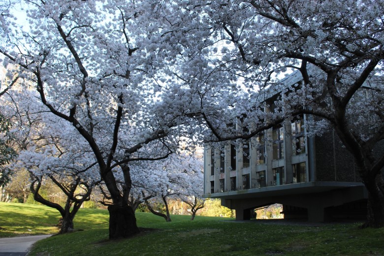 University of Canterbury có khuôn viên thật đẹp