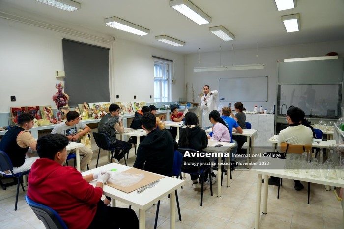 Avicenna International College có nhiều chương trình học linh hoạt